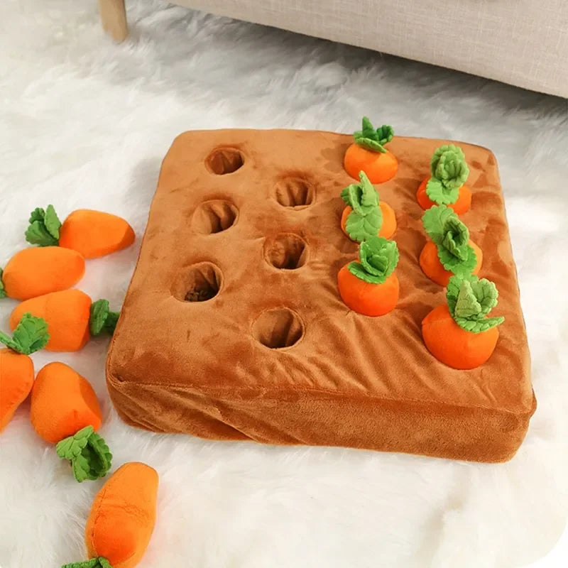 π₯ Il giocattolo Carota Morbidosa π