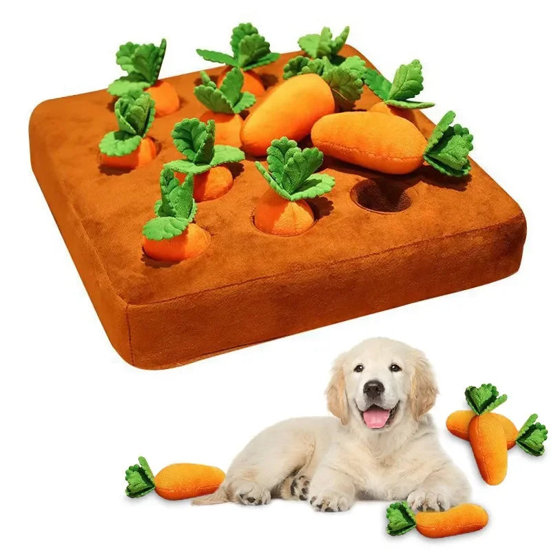 π₯ Il giocattolo Carota Morbidosa π