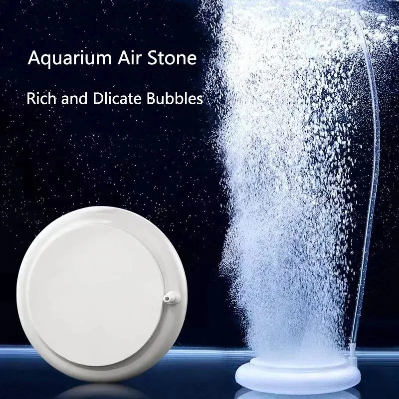 💧✨Magia di Bubbles per il tuo Acquario✨💧