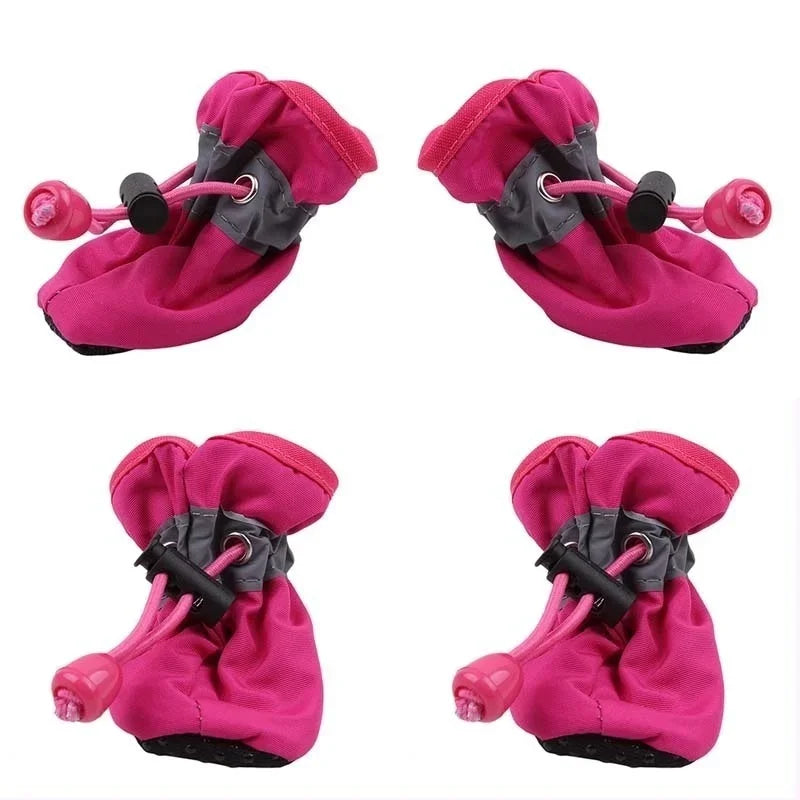 ๐ง๏ธ๐ฃ Scarpine coccole per zampette ๐พ