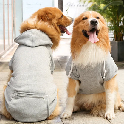 🧣💕 Maglioncino per coccole a quadretti con il tuo cucciolo 🐾