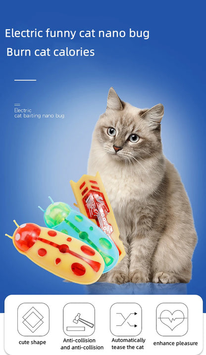 🌟 Gioco elettrico per gattini: la cacciata del Beetle! 🐾