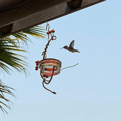 🌸 Adorabile beverino per Colibrì! 🌼