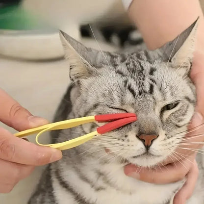 ✨ Spazzolino Magico per Occhietti Felici 🐾✨