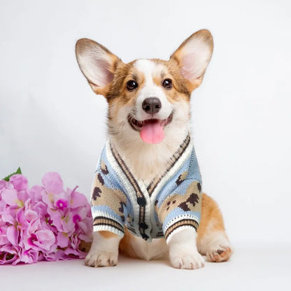 🐾 Maglioncino coccoloso per il tuo cucciolo 🧶