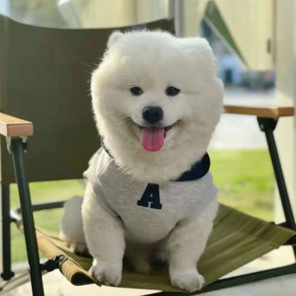 👶🐾 Felpa coccolosa per il tuo cucciolo 🐶❤️