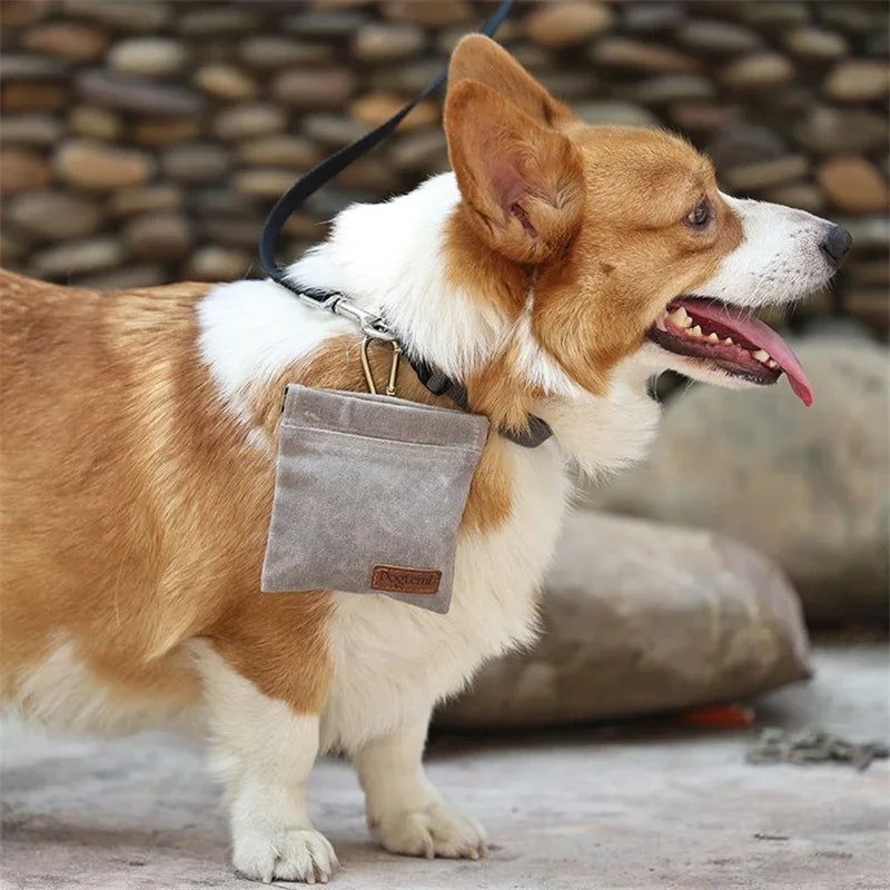 🐾Borsetta per snack del cagnolino che si comporta bene🐾