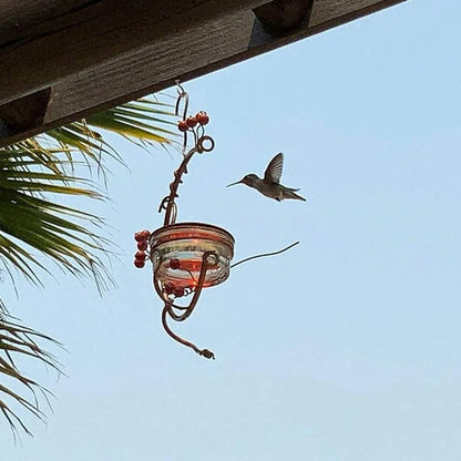 🌸 Adorabile beverino per Colibrì! 🌼