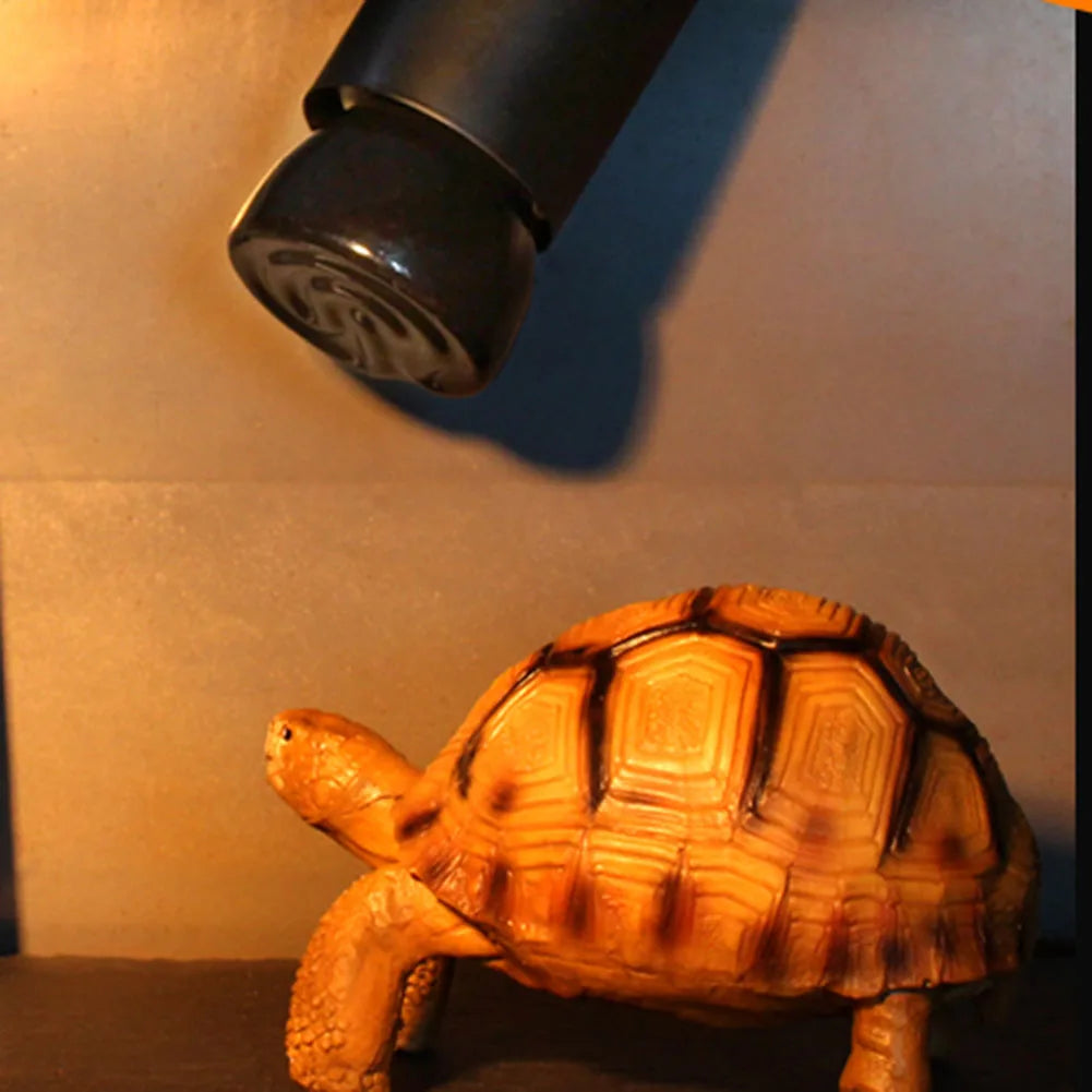 🌞 Lampadina Calorosa per il Tuo Cucciolo 🐢✨