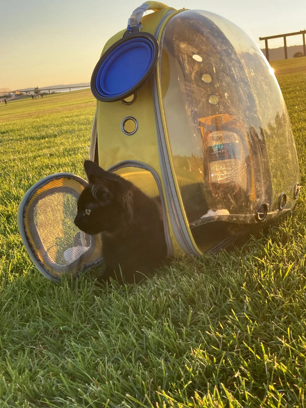 🌌🐾 Zainetto Spaziale per il Tuo Cucciolo 🐾🌌