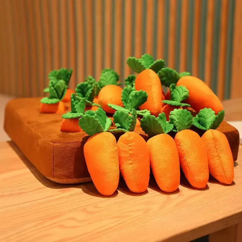 🥕 Il giocattolo Carota Morbidosa 🌟