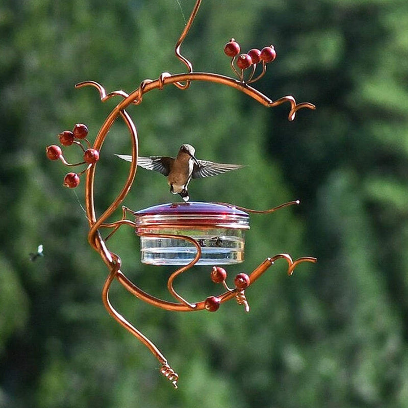 🌸 Adorabile beverino per Colibrì! 🌼