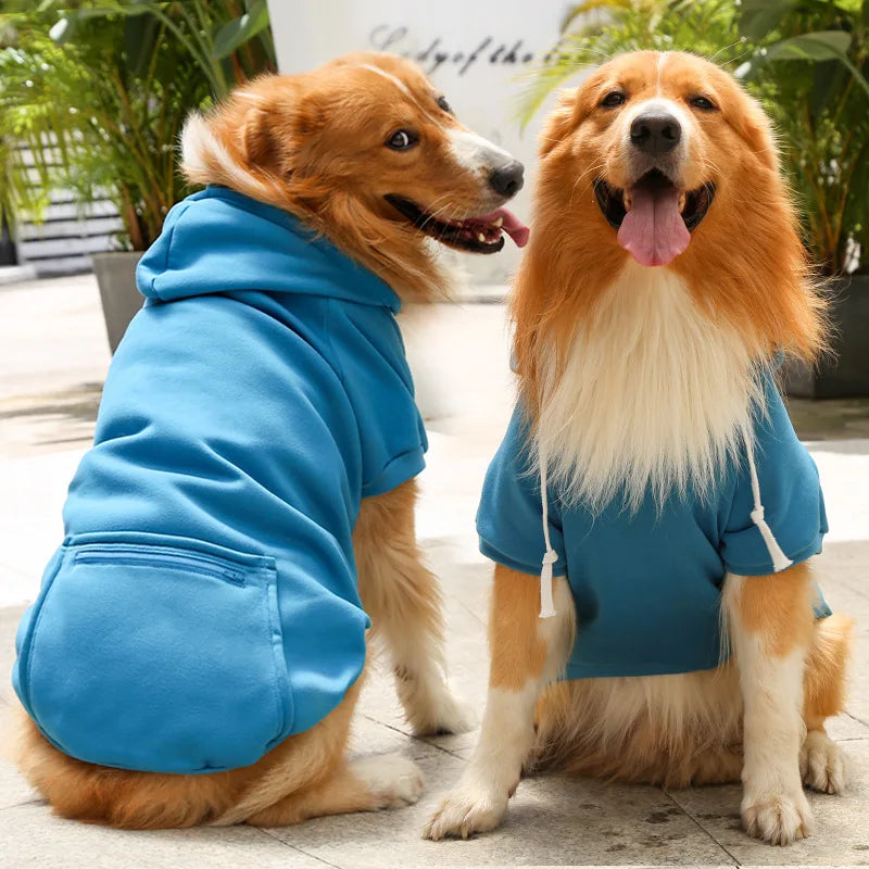 🧣💕 Maglioncino per coccole a quadretti con il tuo cucciolo 🐾
