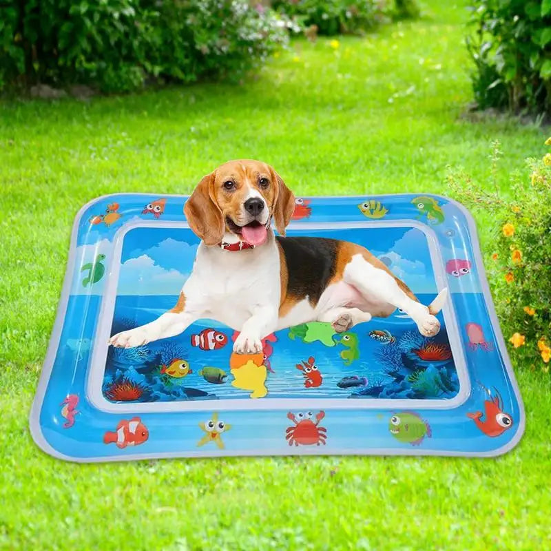 🌊🐾 Tappetino dal divertimento freschettoso! 🐾🌊